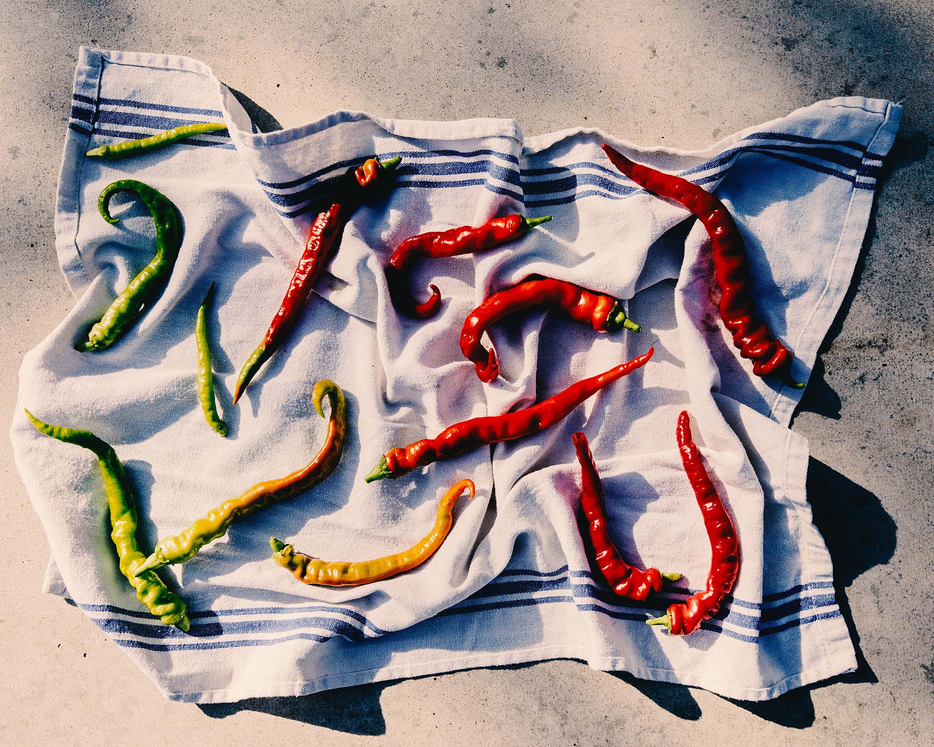 SRM_The Kitchen Garden